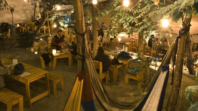 #<Trip:0x7f29d472ecc8> - dogs.jpg