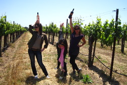 Taste the Wine Country on Bike