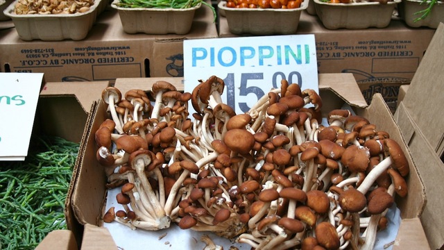 #<Trip:0x7fdc48efa688> - IMG_1855.JPG