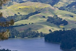 Peak Experience in Berkeley