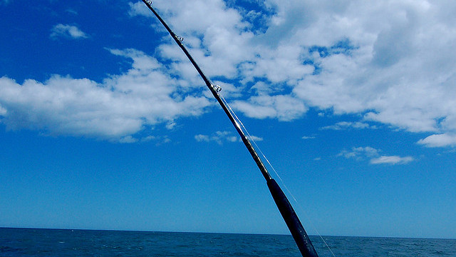 #<Trip:0x7fb86decae50> - image20110829-1-qdph69-0.jpg