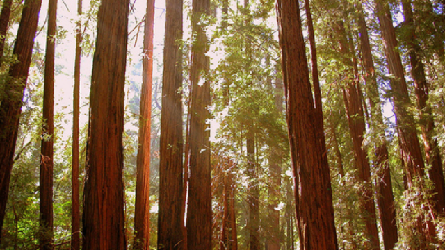 #<Trip:0x7f826c1fd330> - image20110829-1-1wp8cc7-0.png