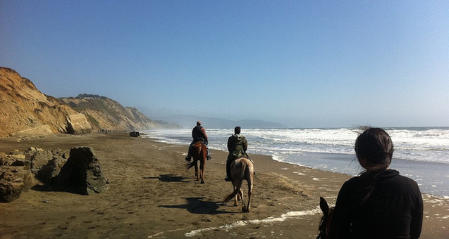 #<Trip:0x7f5a7857eca0> - 5775079535_d640049082_z.jpeg