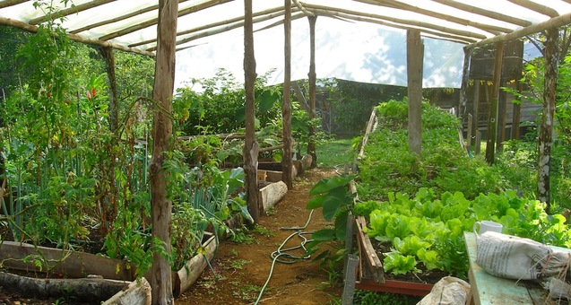 #<Trip:0x7fdc49508e58> - DSC05294.JPG