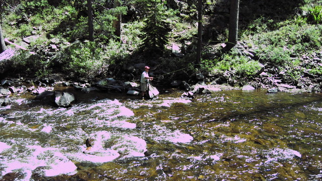 #<Trip:0x7f95ee5b18b0> - 141_4149.JPG