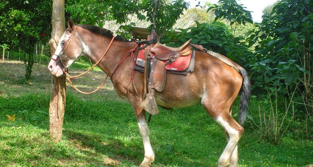 #<Trip:0x7fdc49508e58> - DSC05302.JPG