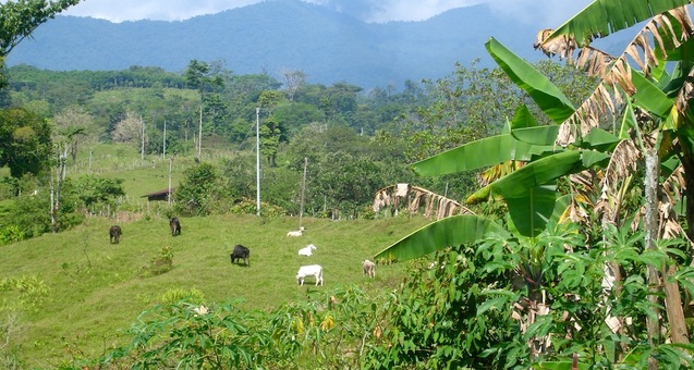 #<Trip:0x7f508d414788> - DSC05403.JPG