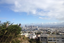 Morning Walk with View