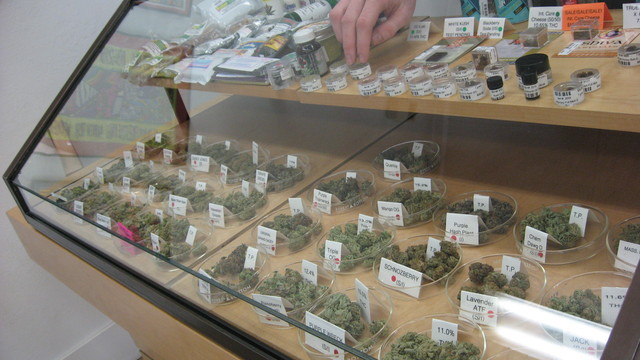 #<Trip:0x7f97b3a153b8> - 420tours2.jpg